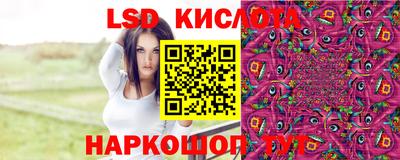 прущие грибы Белорецк