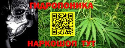прущие грибы Белорецк