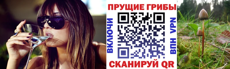 Псилоцибиновые грибы Magic Shrooms  где купить наркотик  Бузулук 